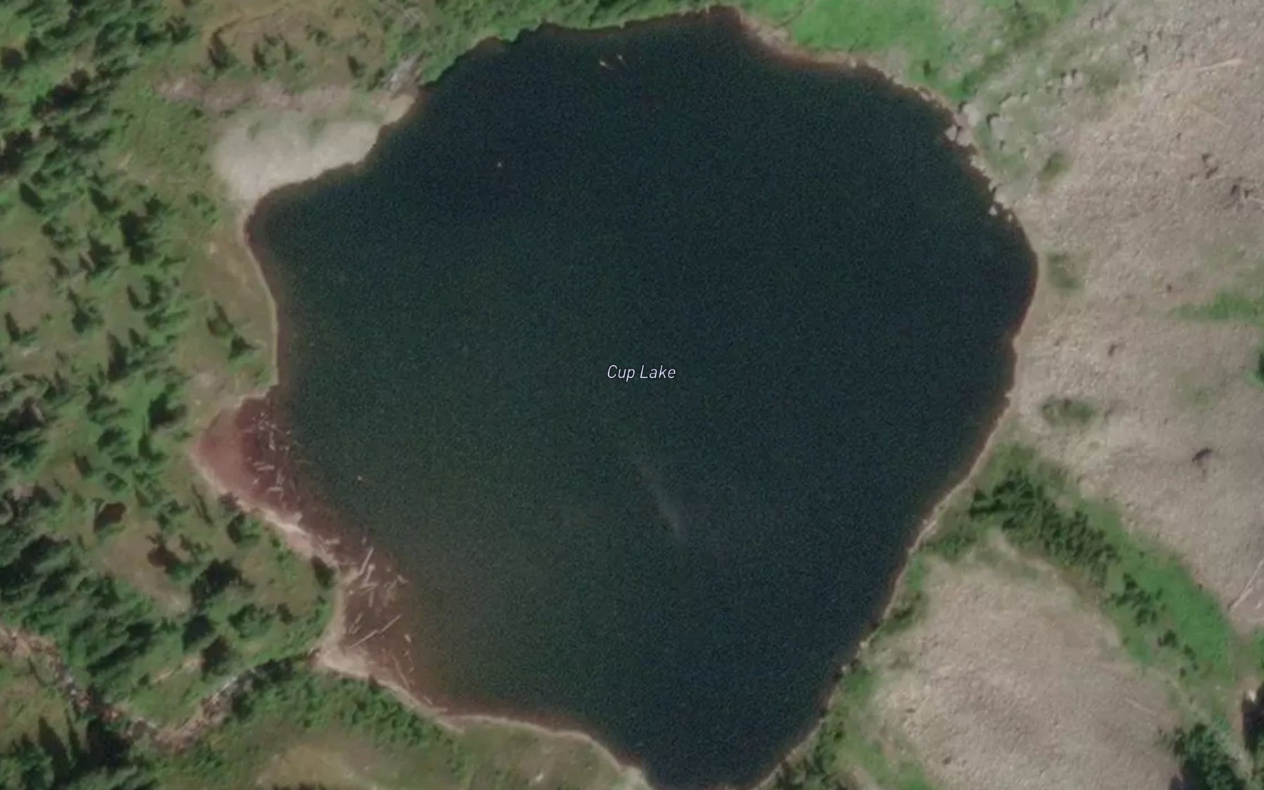 Satellite map of the Cup Lake