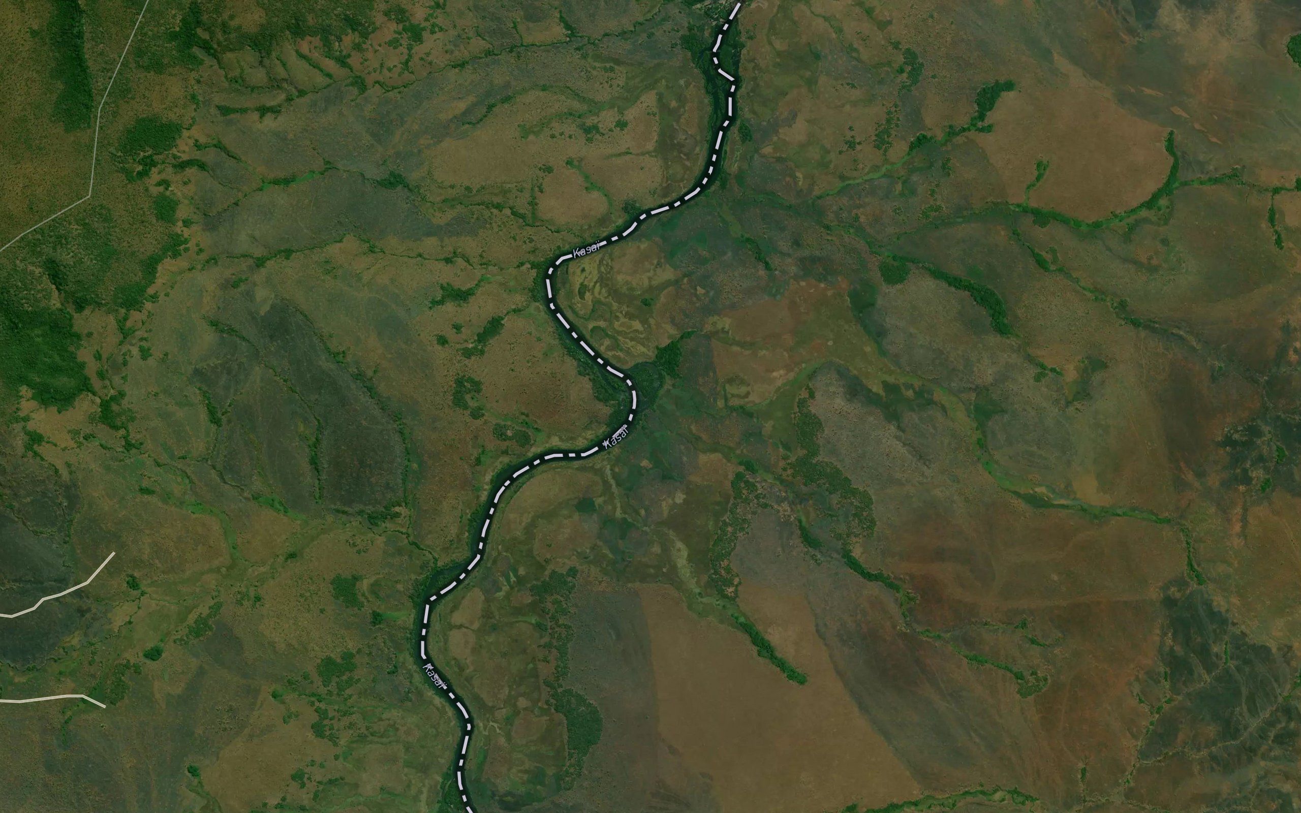 Ngulungu