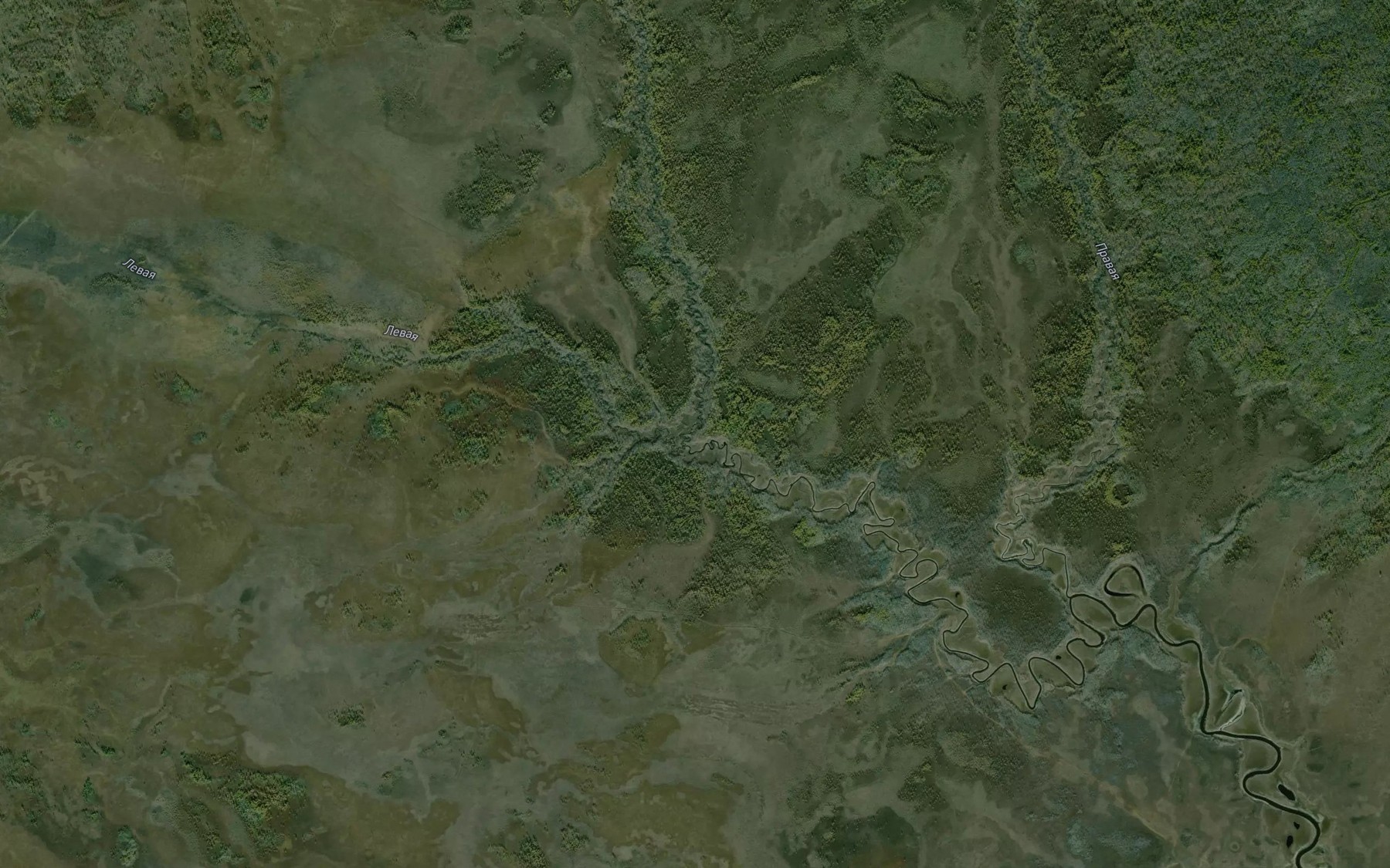 Satellite map of the Srednyaya