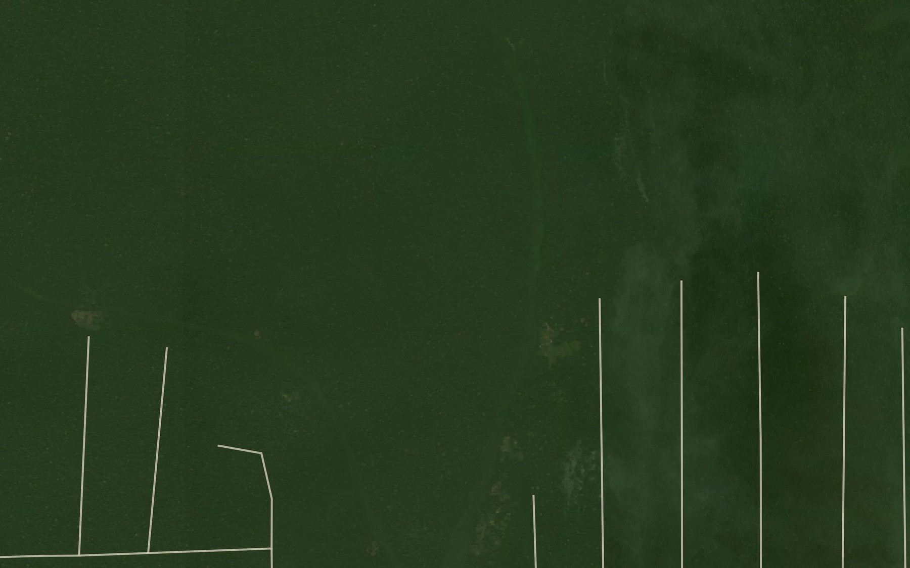 Satellite map of the Nzanga