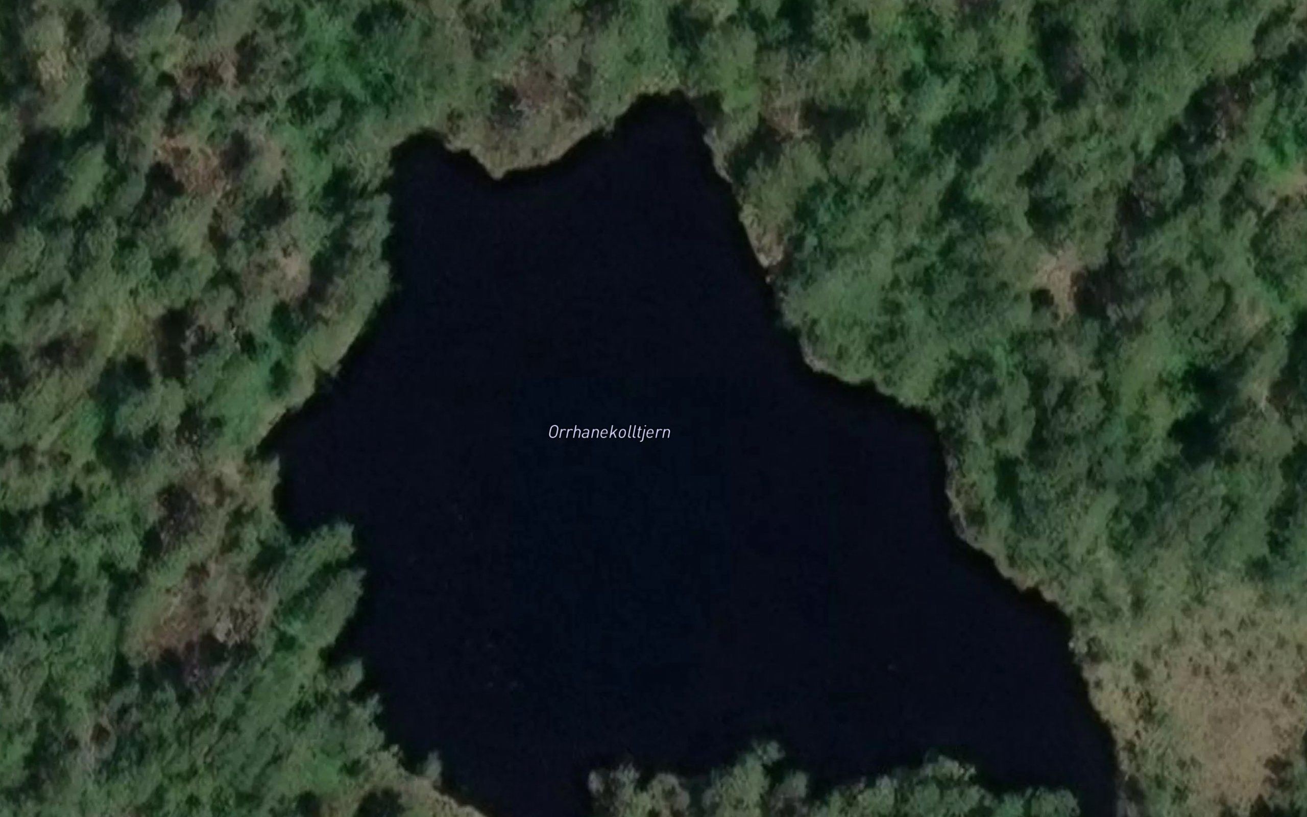 Orrhanekolltjern