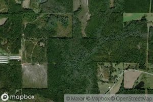 Martha Holland Branch