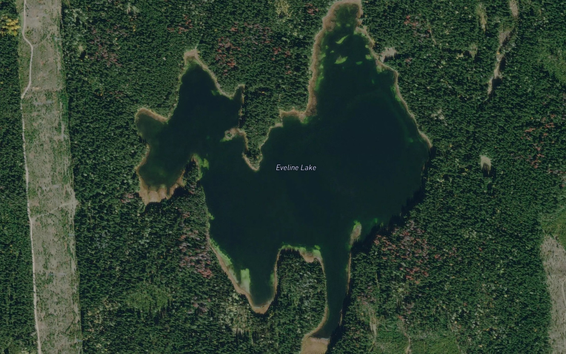 Satellite map of the Eveline Lake