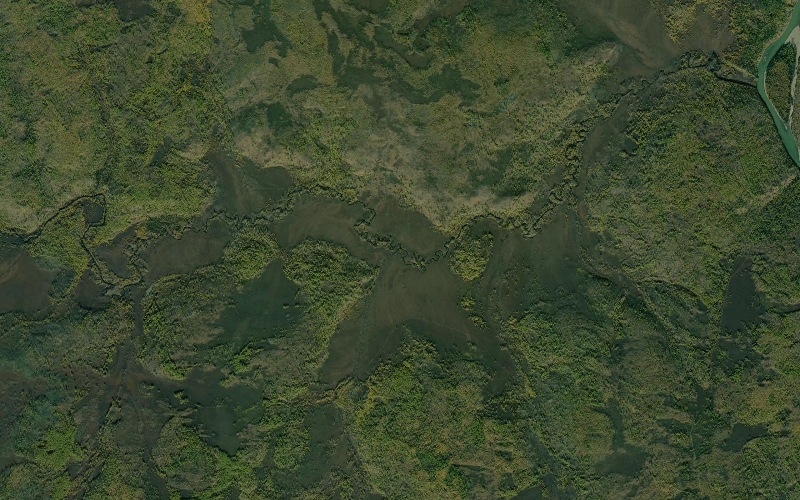 Kholodnyy