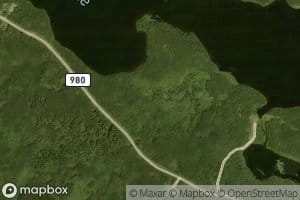 Woody Lake