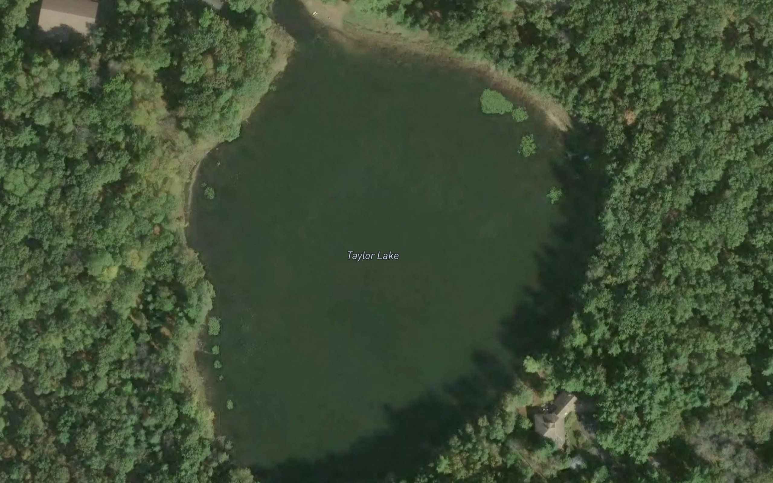 Taylor Lake