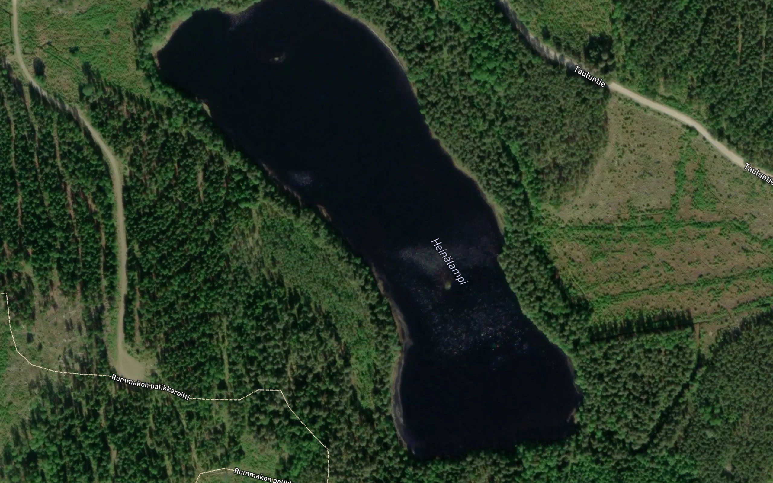 Heinalampi