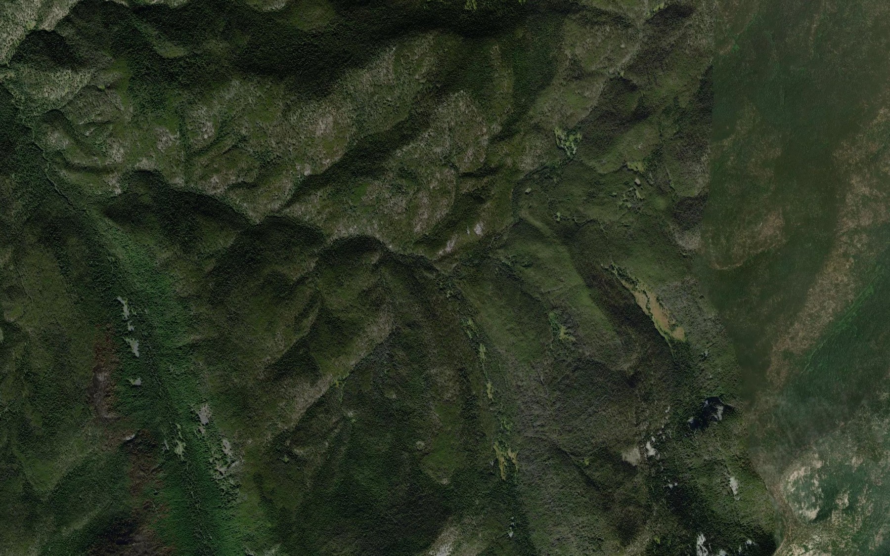 Satellite map of the Taylor Creek