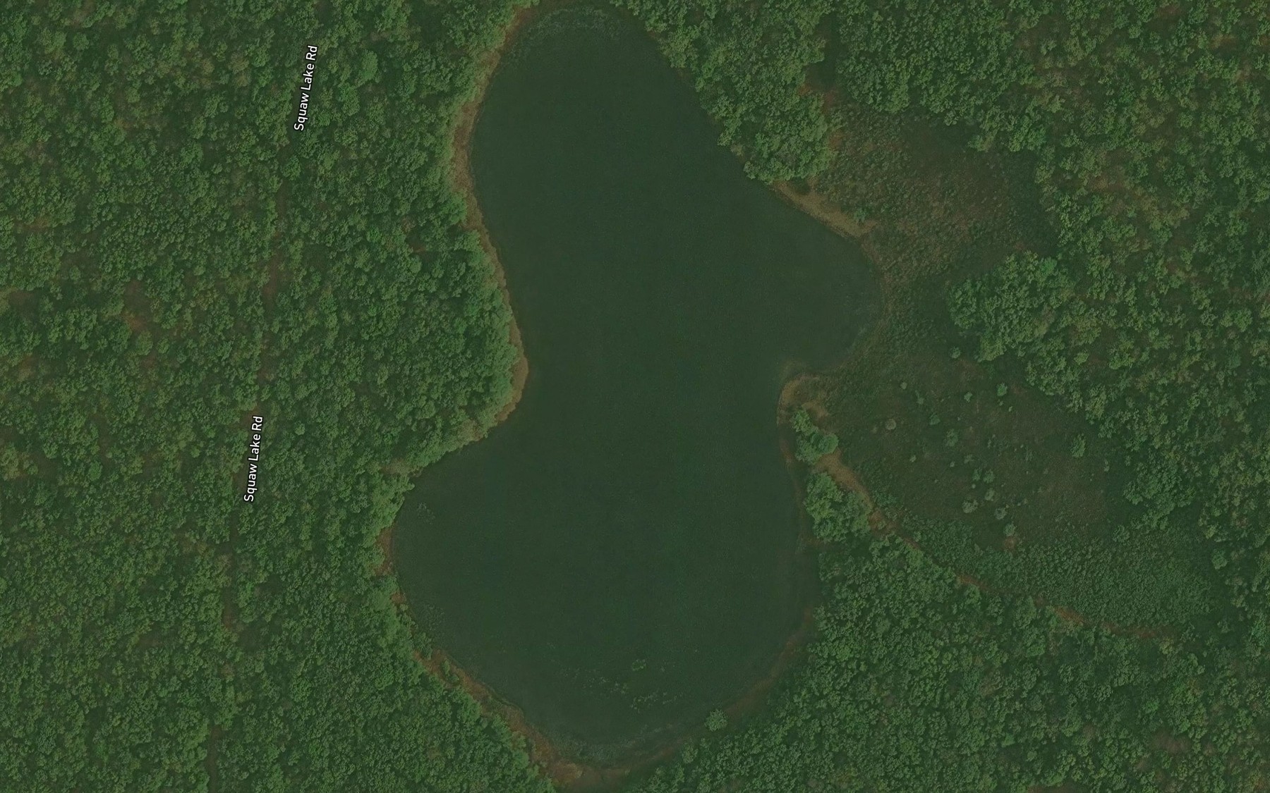 Satellite map of the Indian Lake