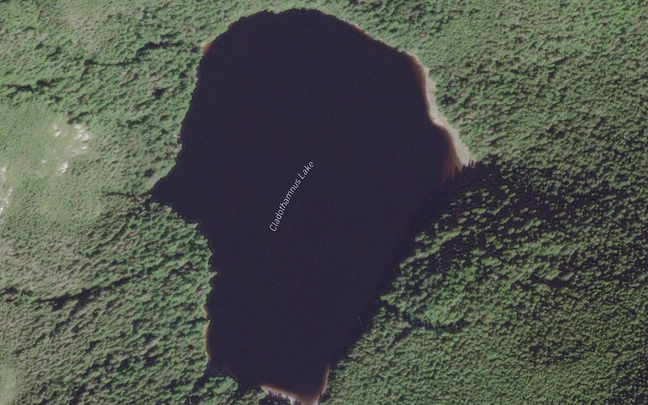 Cladothamnus Lake
