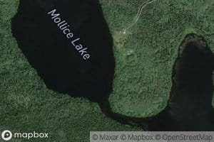Mollice Lake
