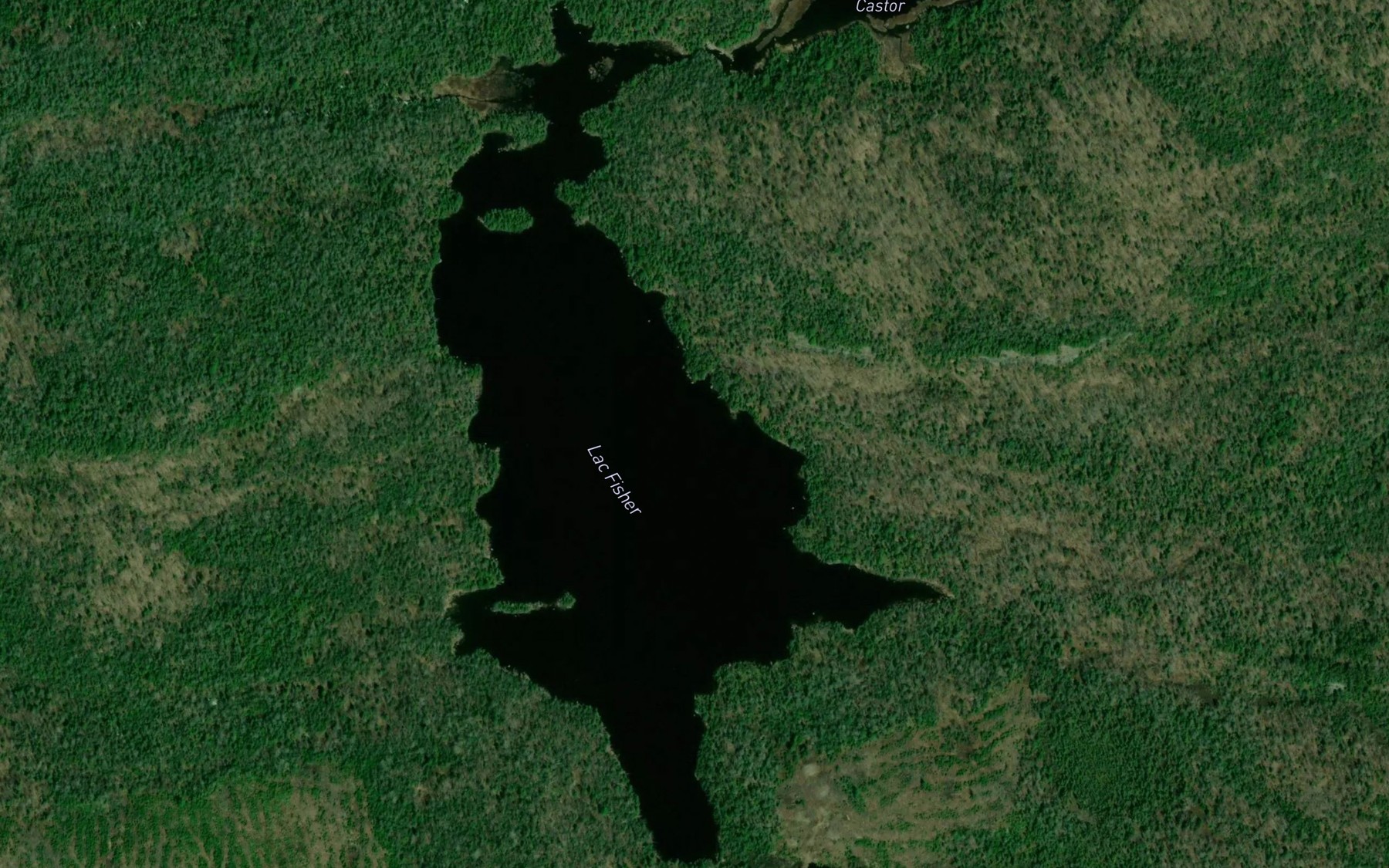 Satellite map of the Lac Fisher