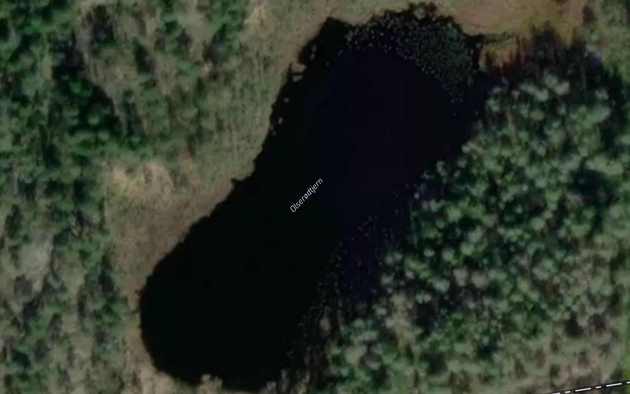 Olserodtjernet