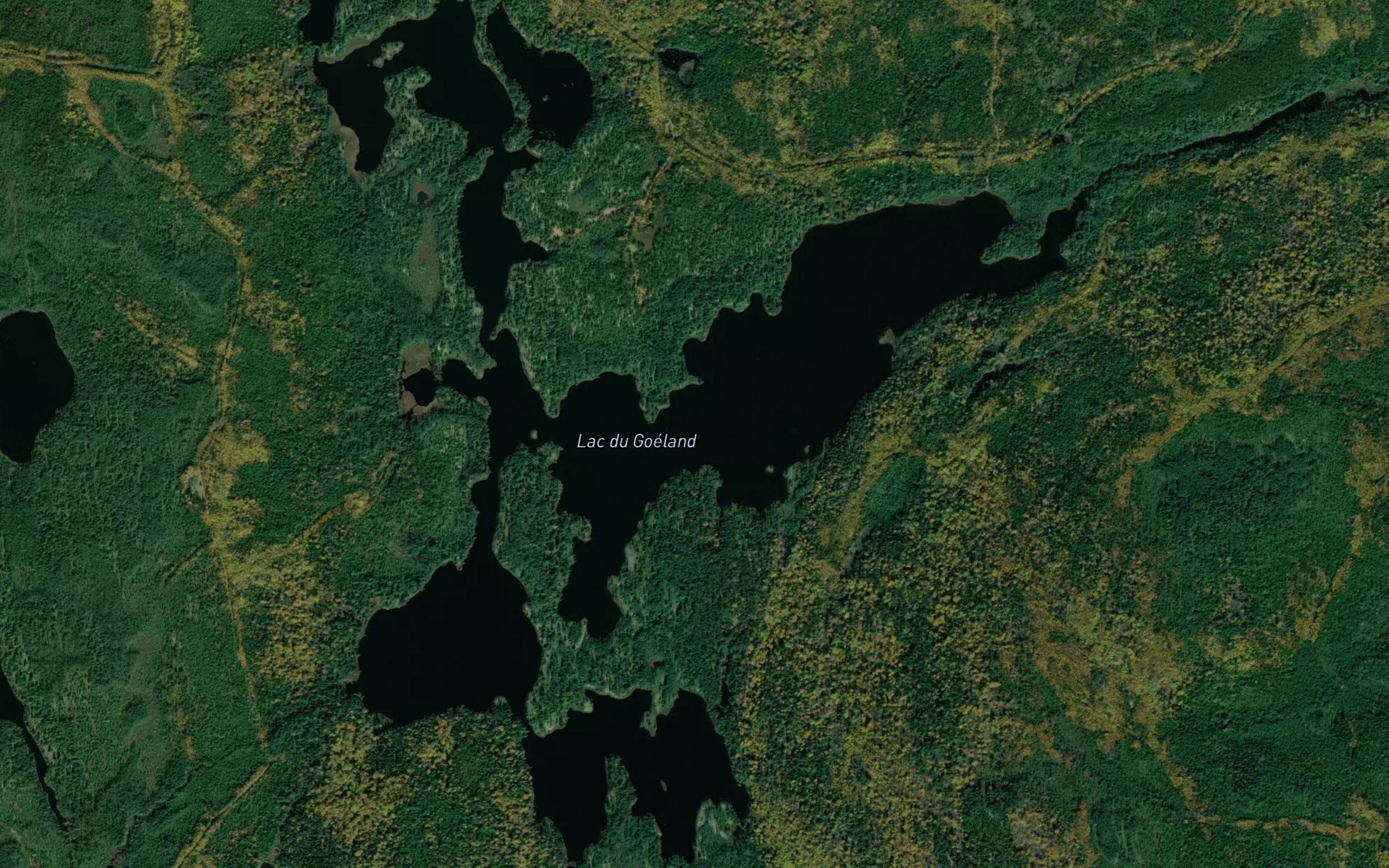 Lac du Goeland