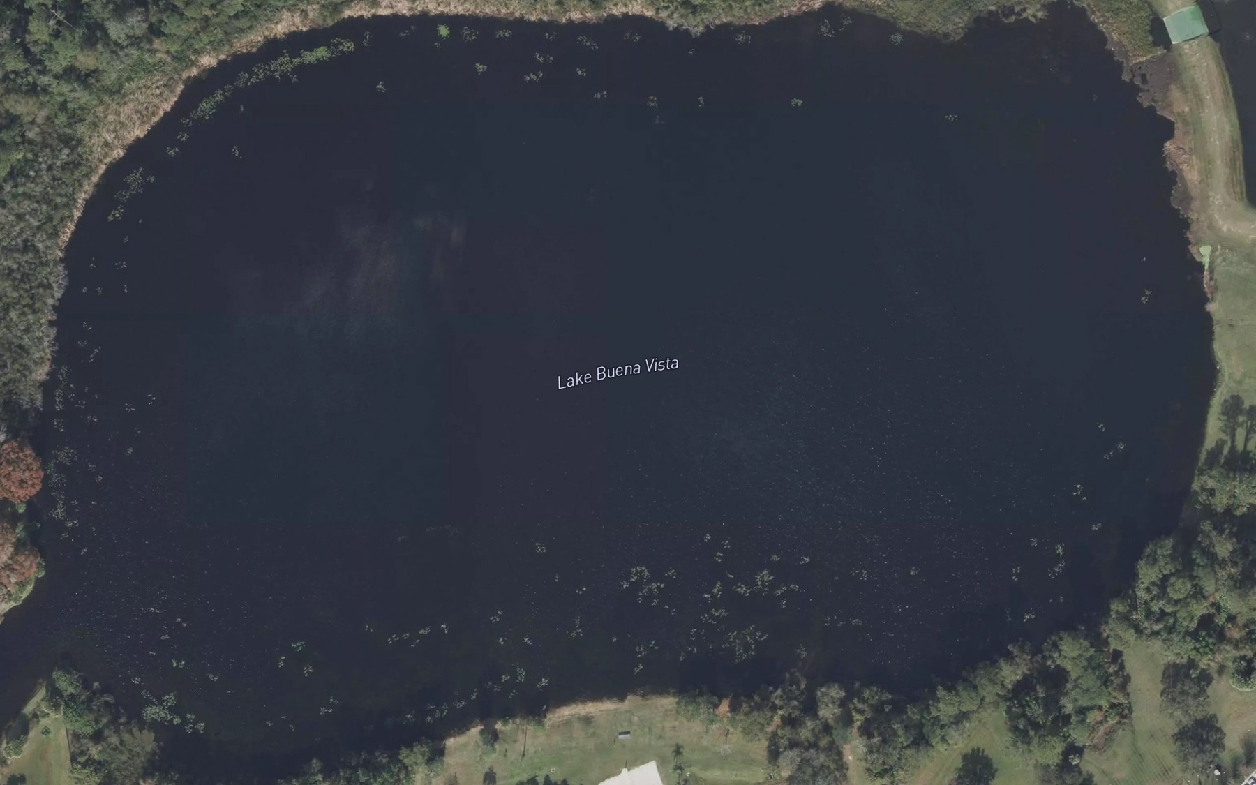 Satellite map of the Black Lake