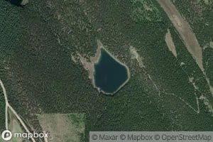 Timber Lake