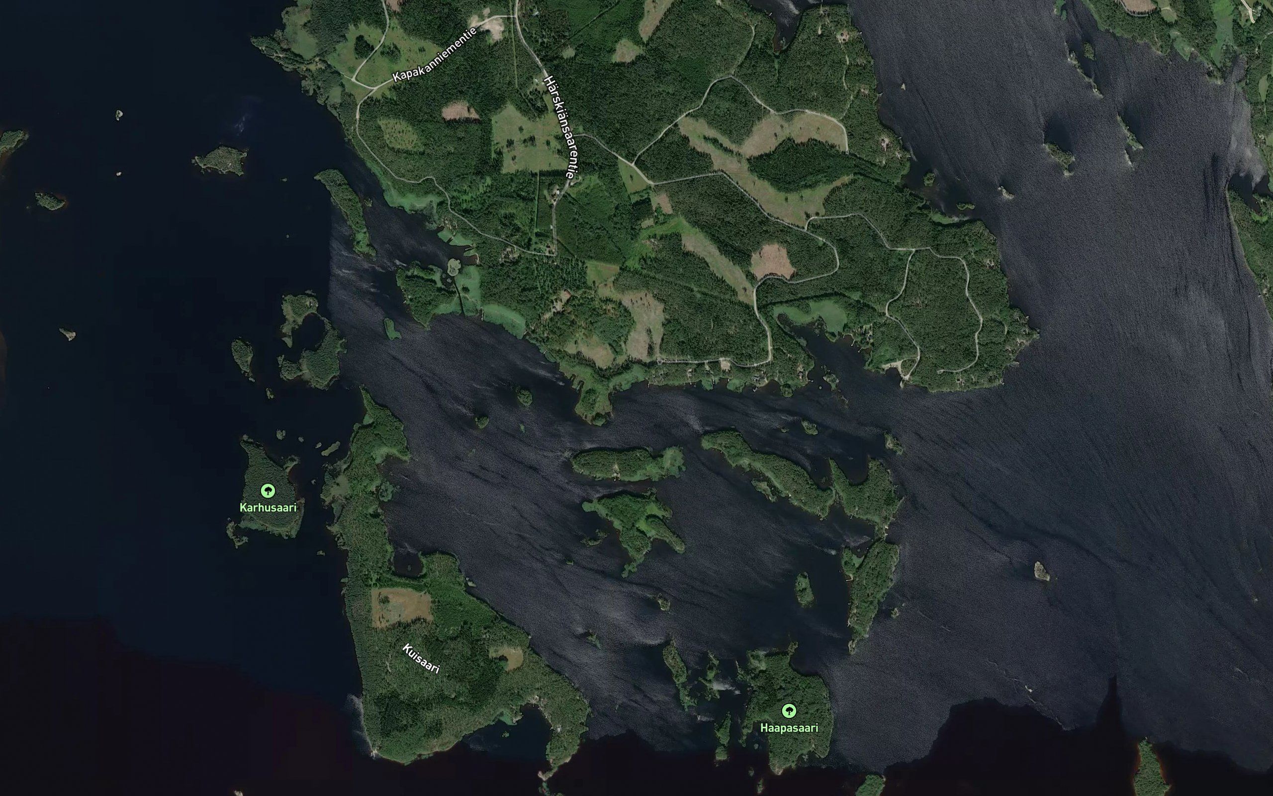Viipanlahti