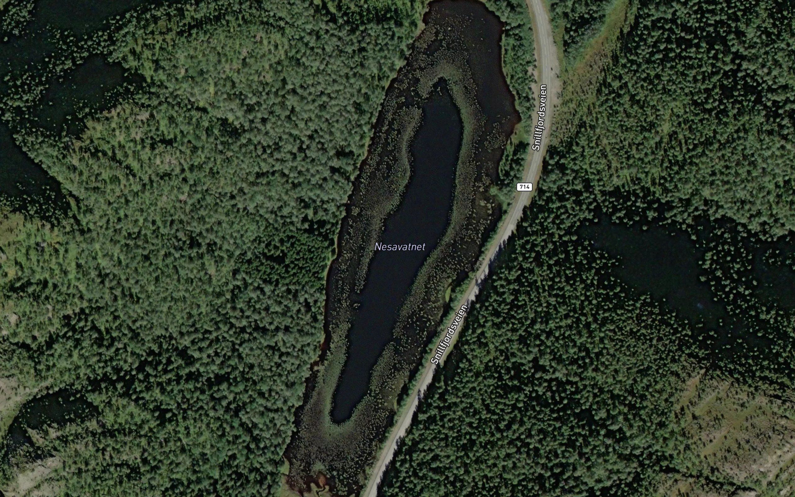 Nesavatnet