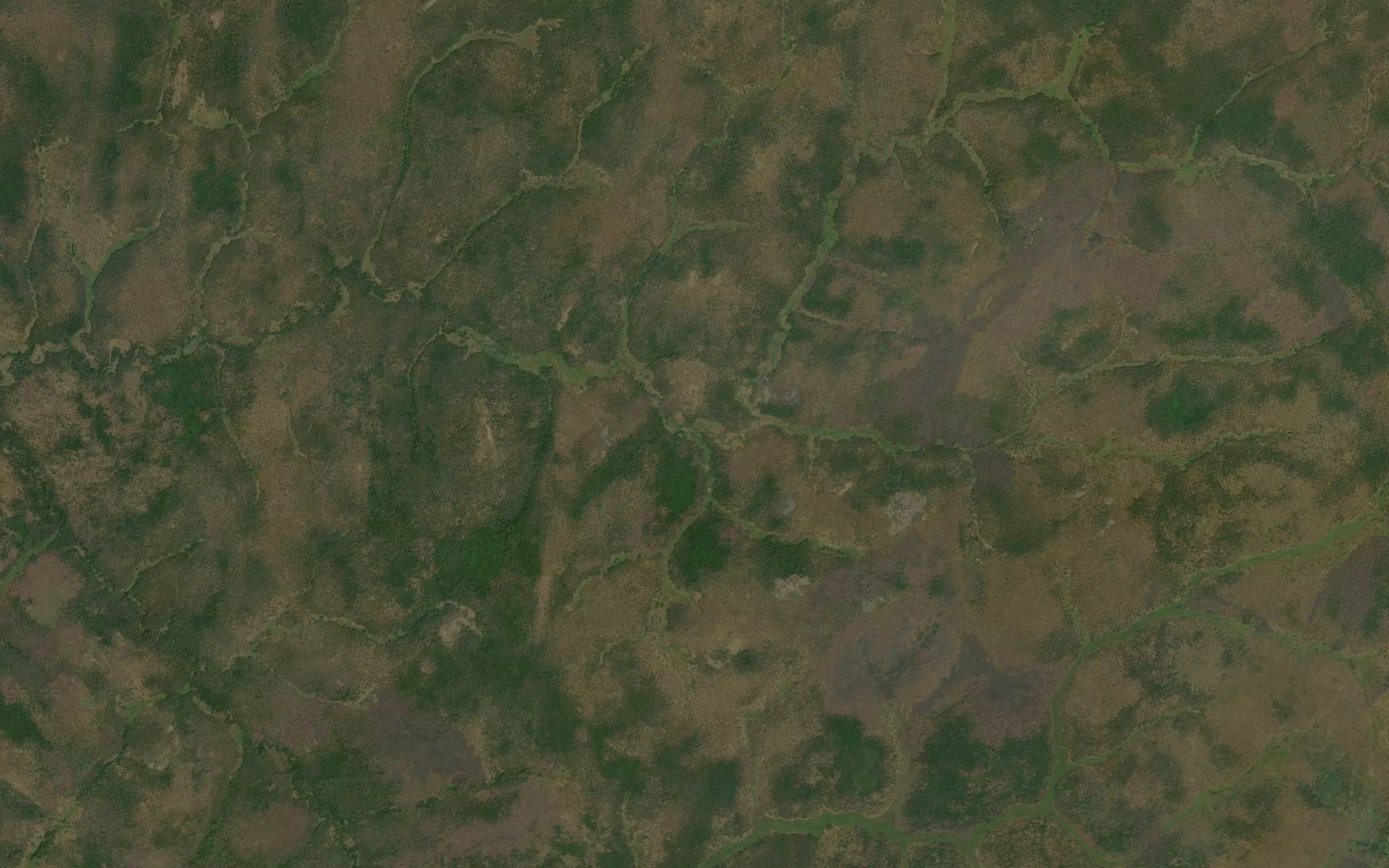 Koloka