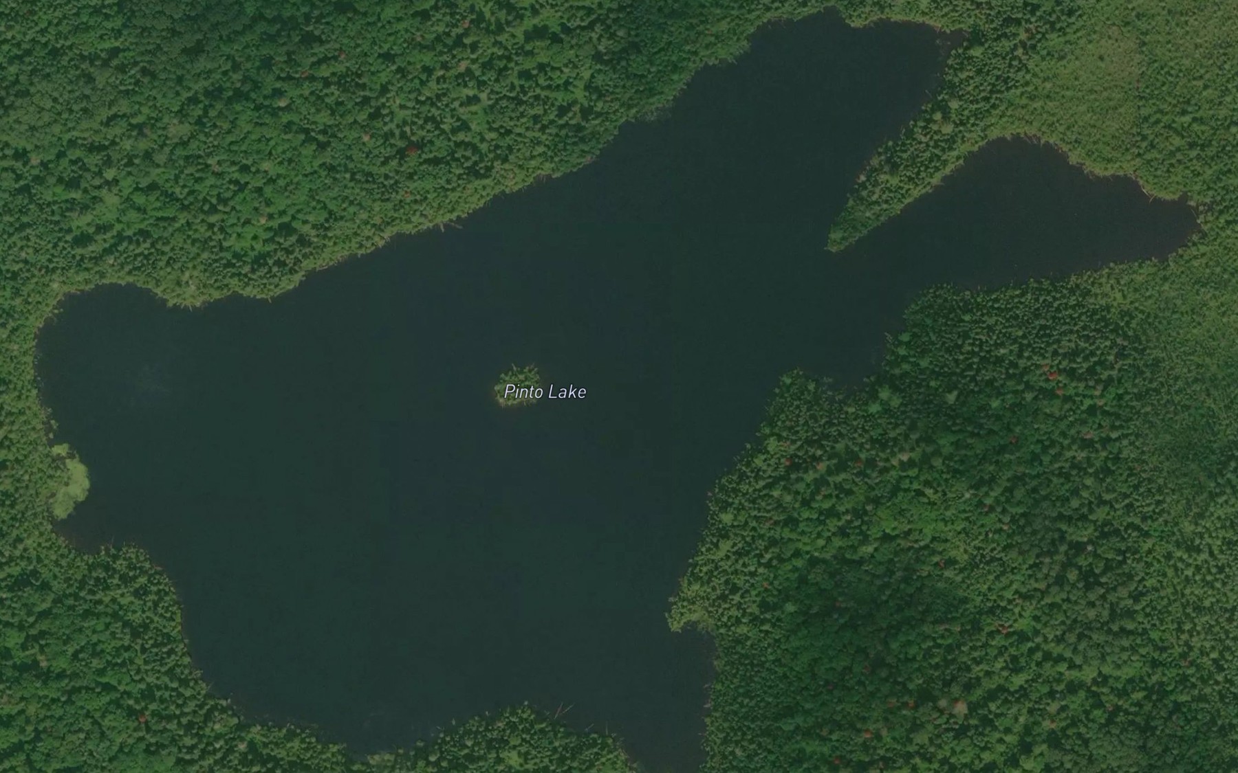 Satellite map of the Pinto Lake