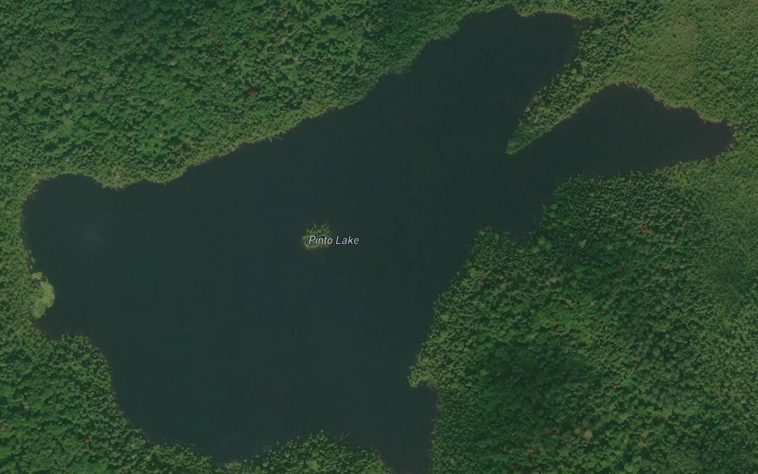 Pinto Lake