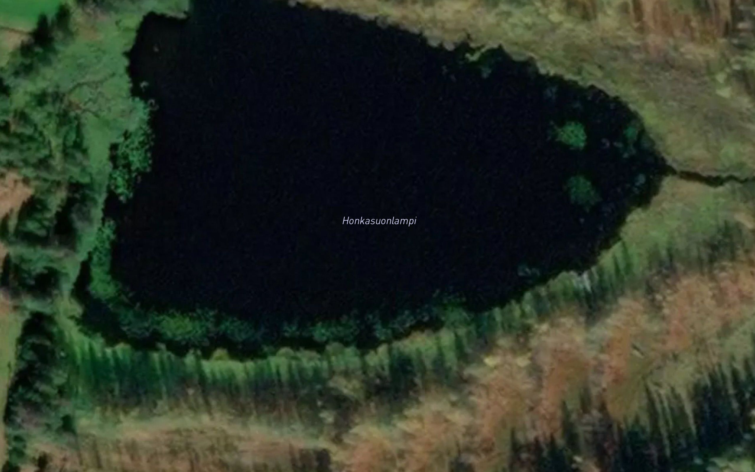 Honkasuonlampi
