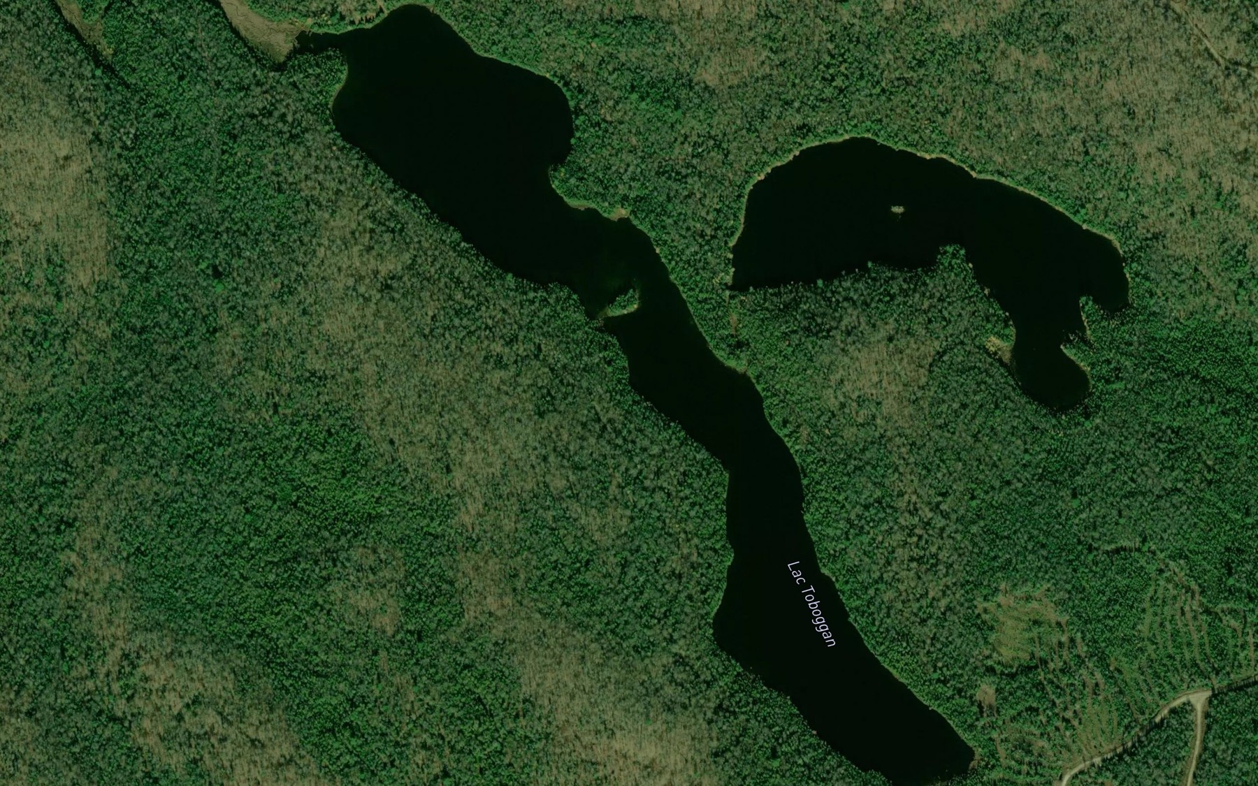 Satellite map of the Lac Toboggan