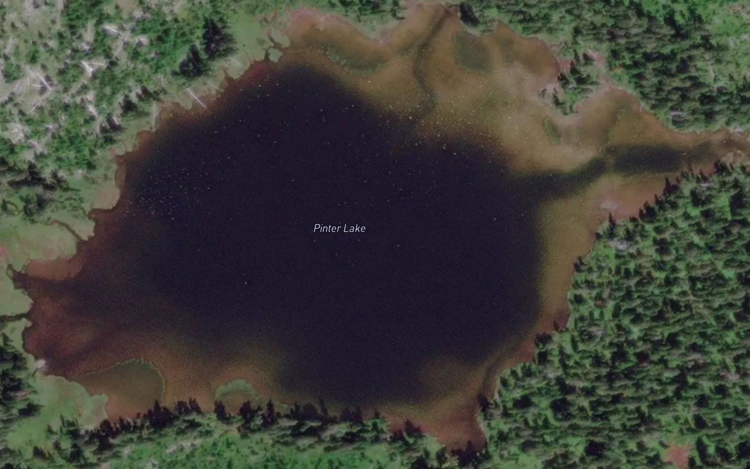 Pinter Lake
