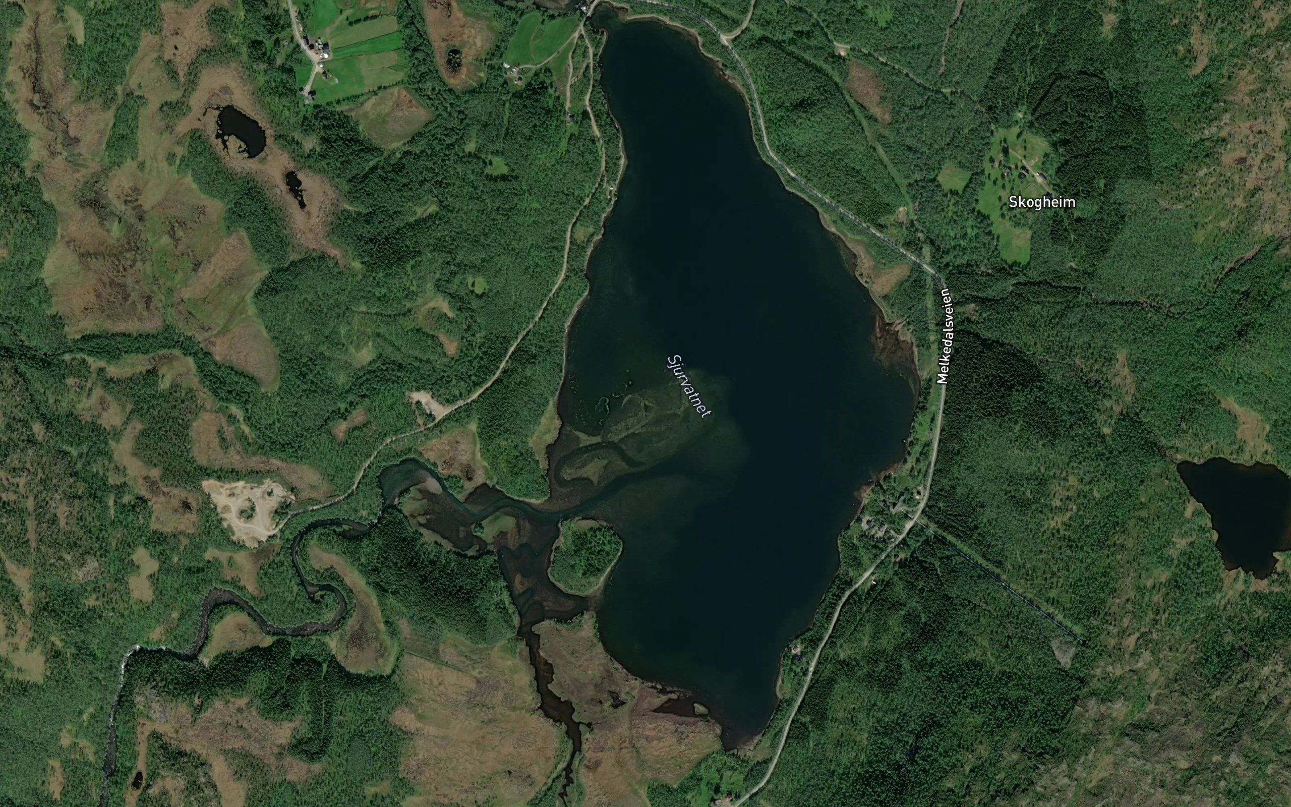 Sjurvatnet
