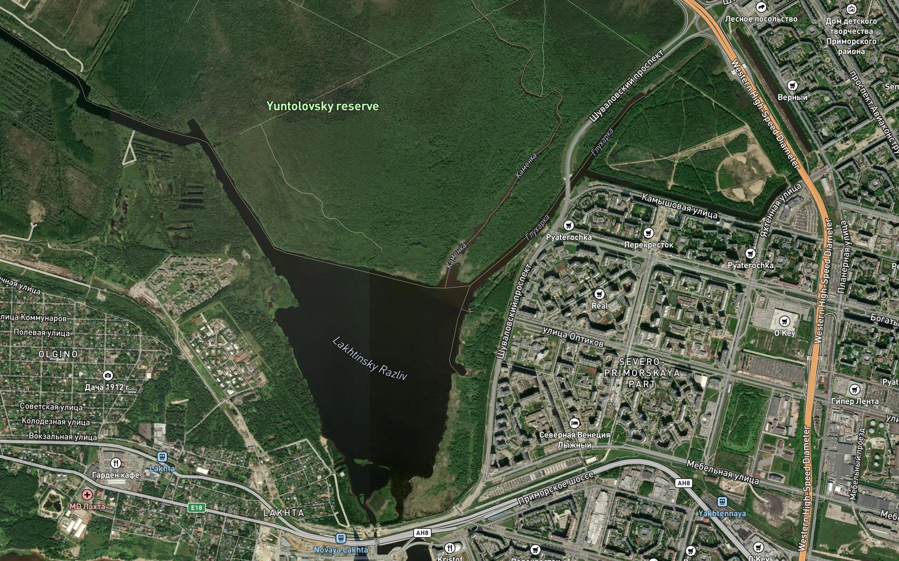 Satellite map of the Kamenka