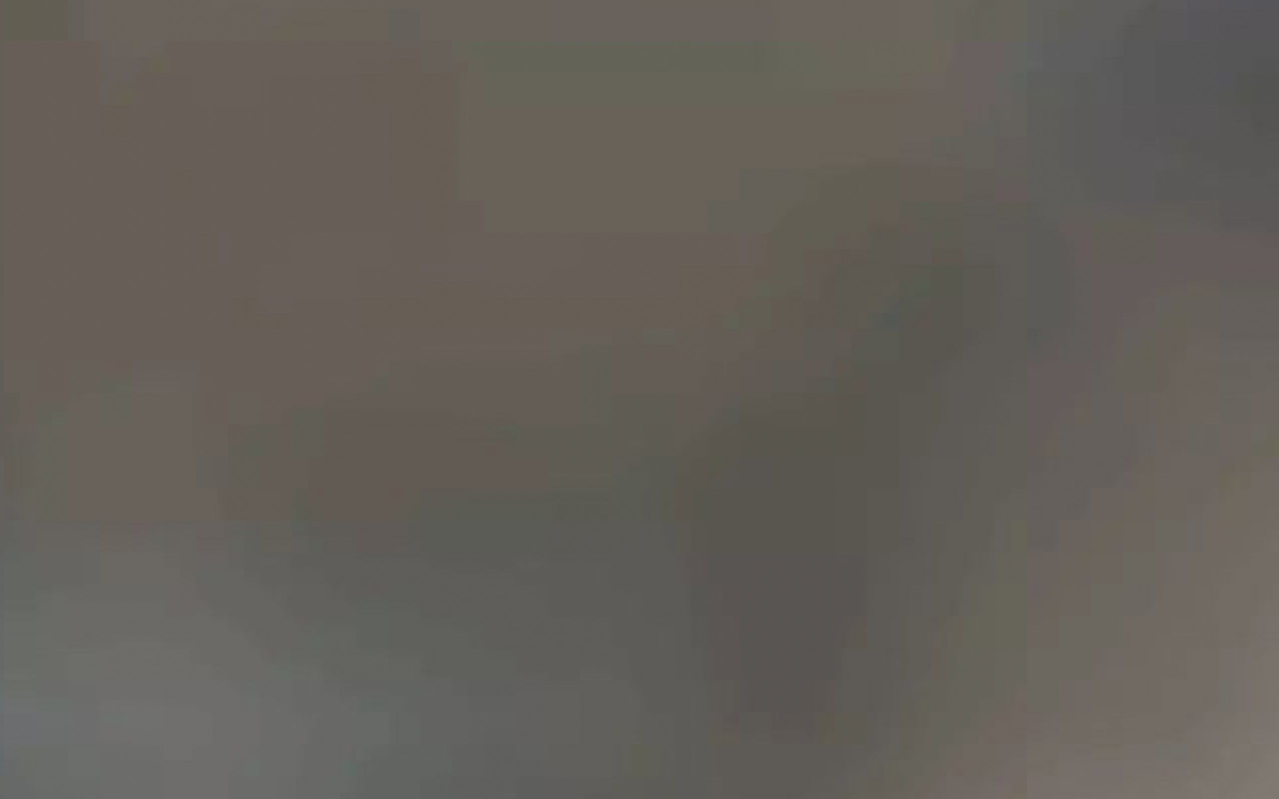 Skarelv