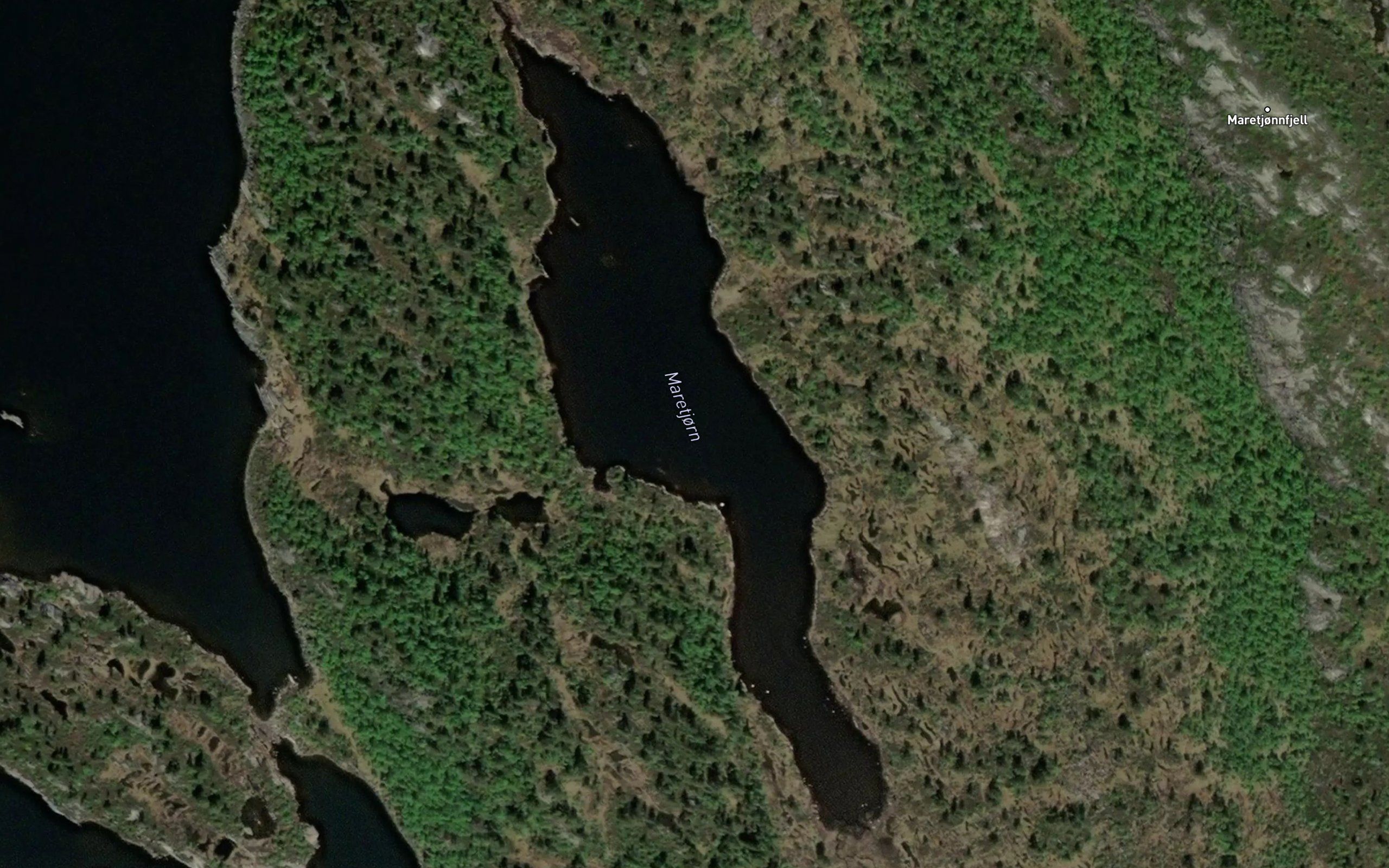 Maretjorn