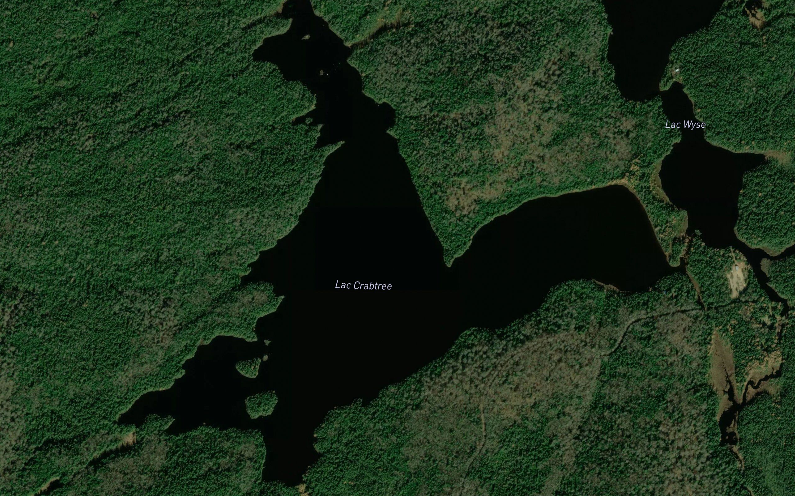 Lac Crabtree