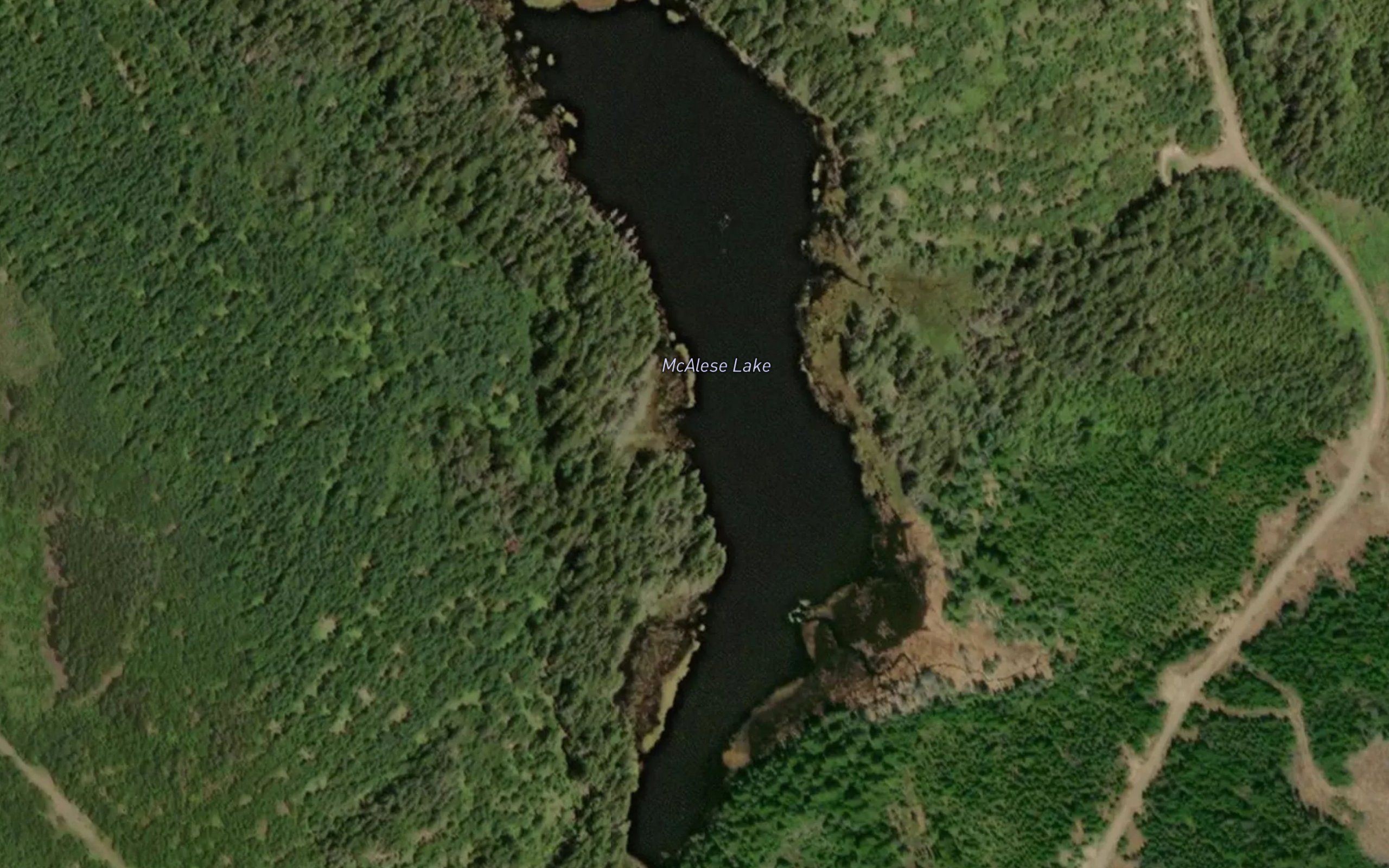 McAlese Lake