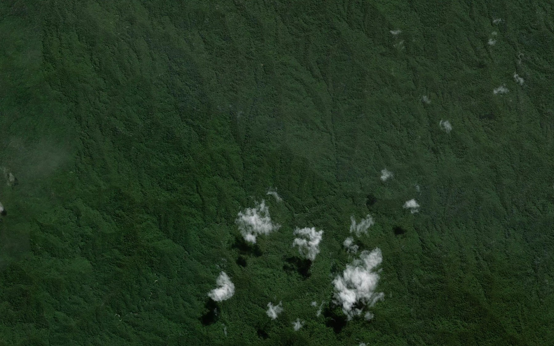 Satellite map of the Sungai Mujan