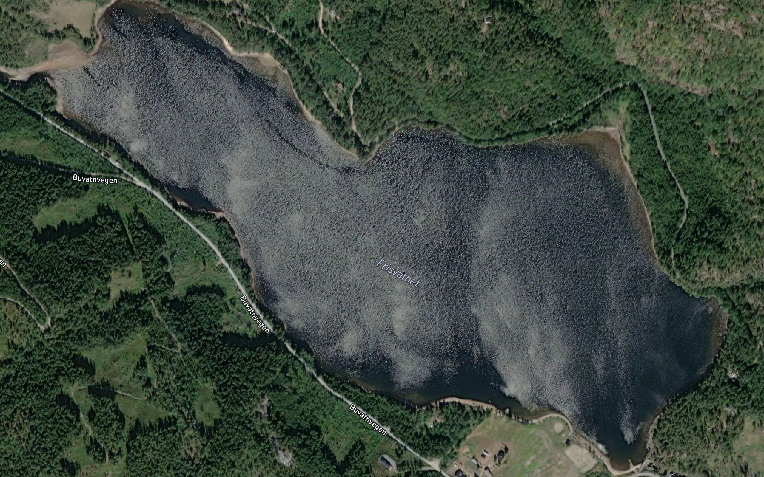 Frisvatnet