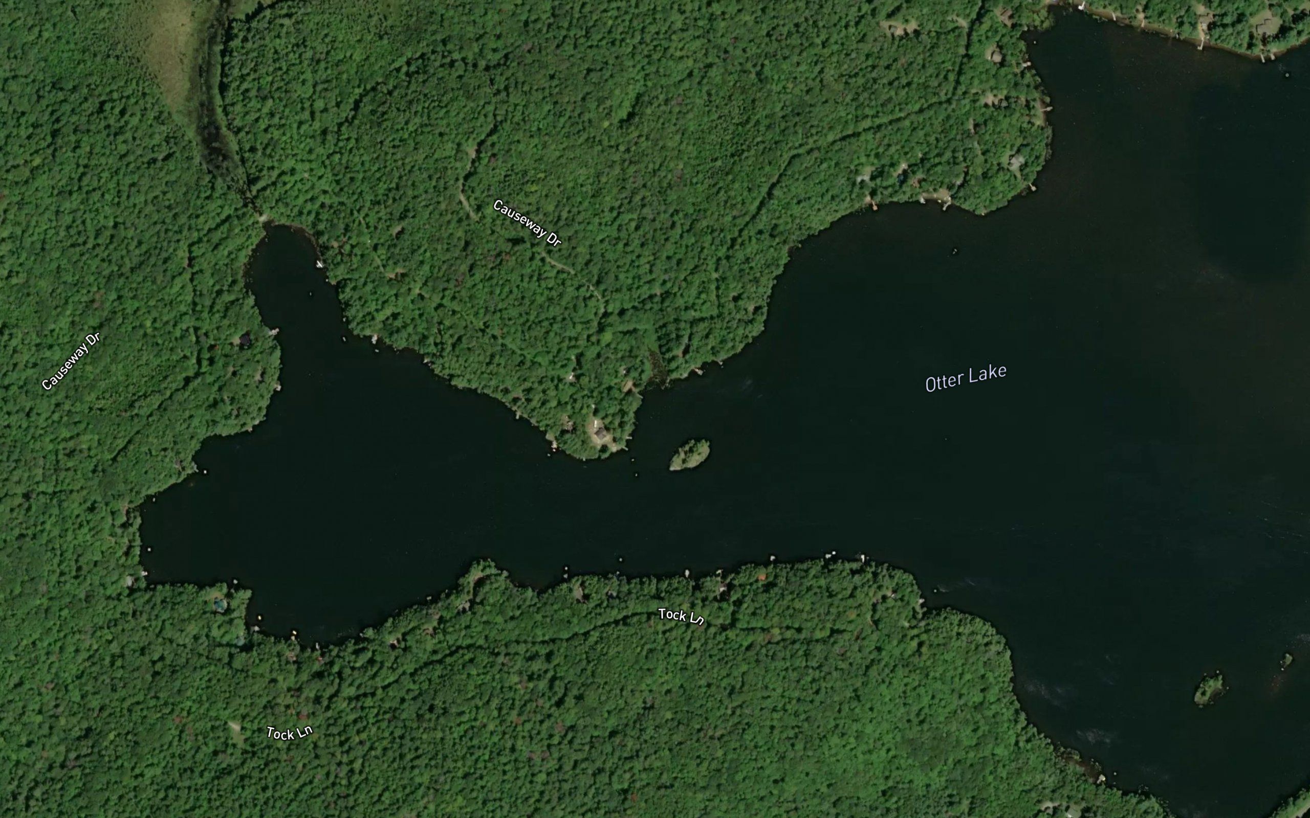 Otter Lake