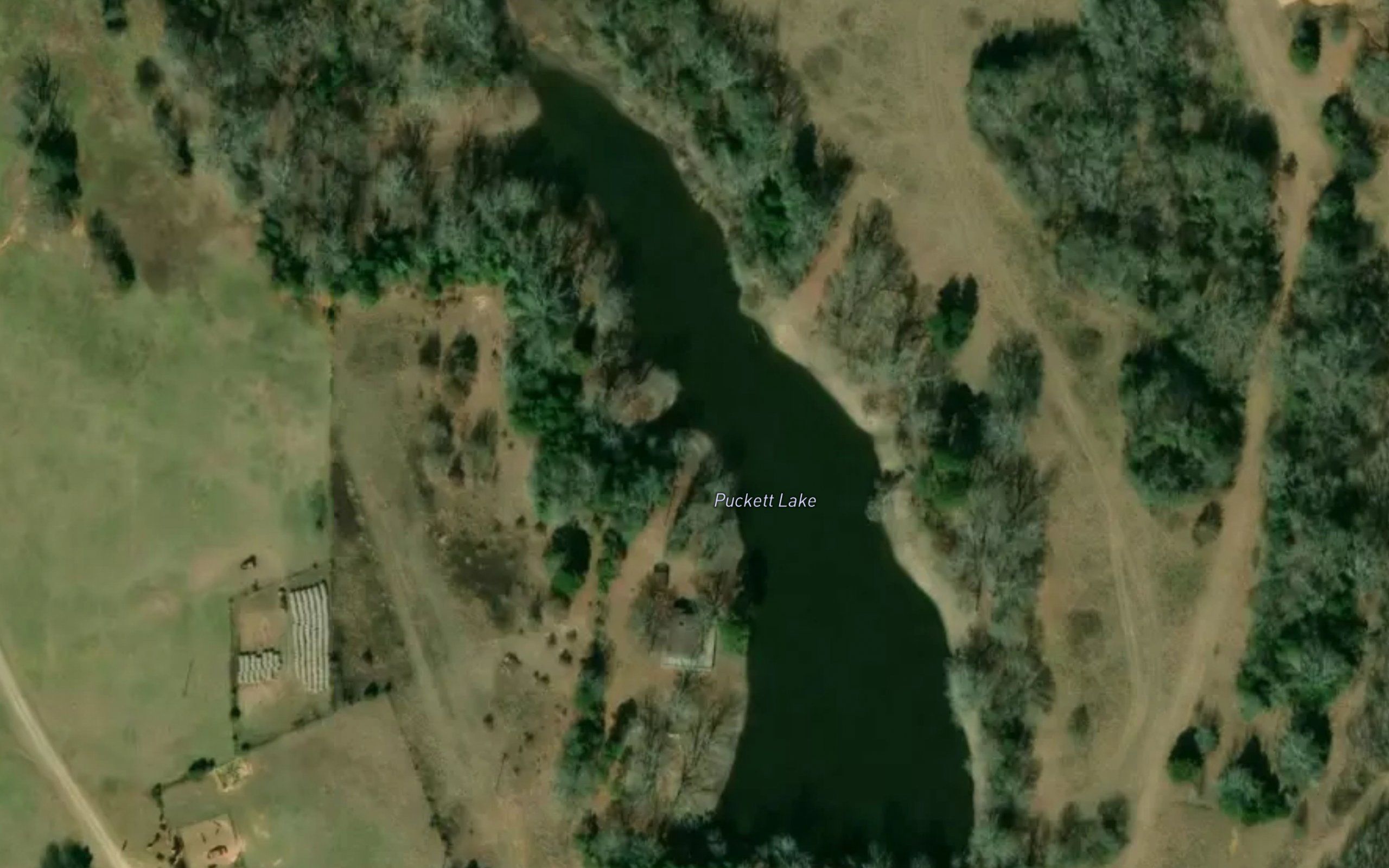 Puckett Lake