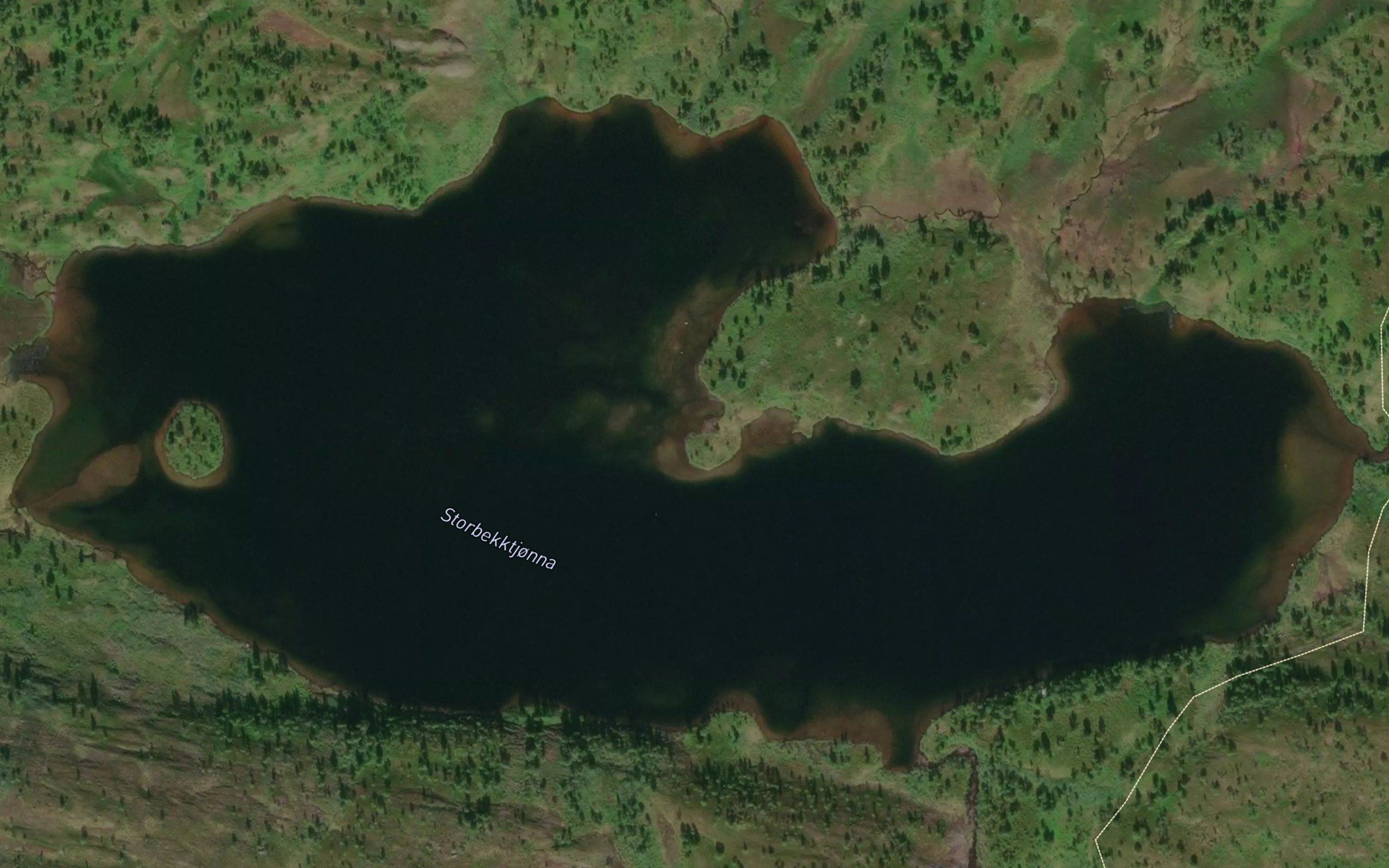 Storbekktjonna