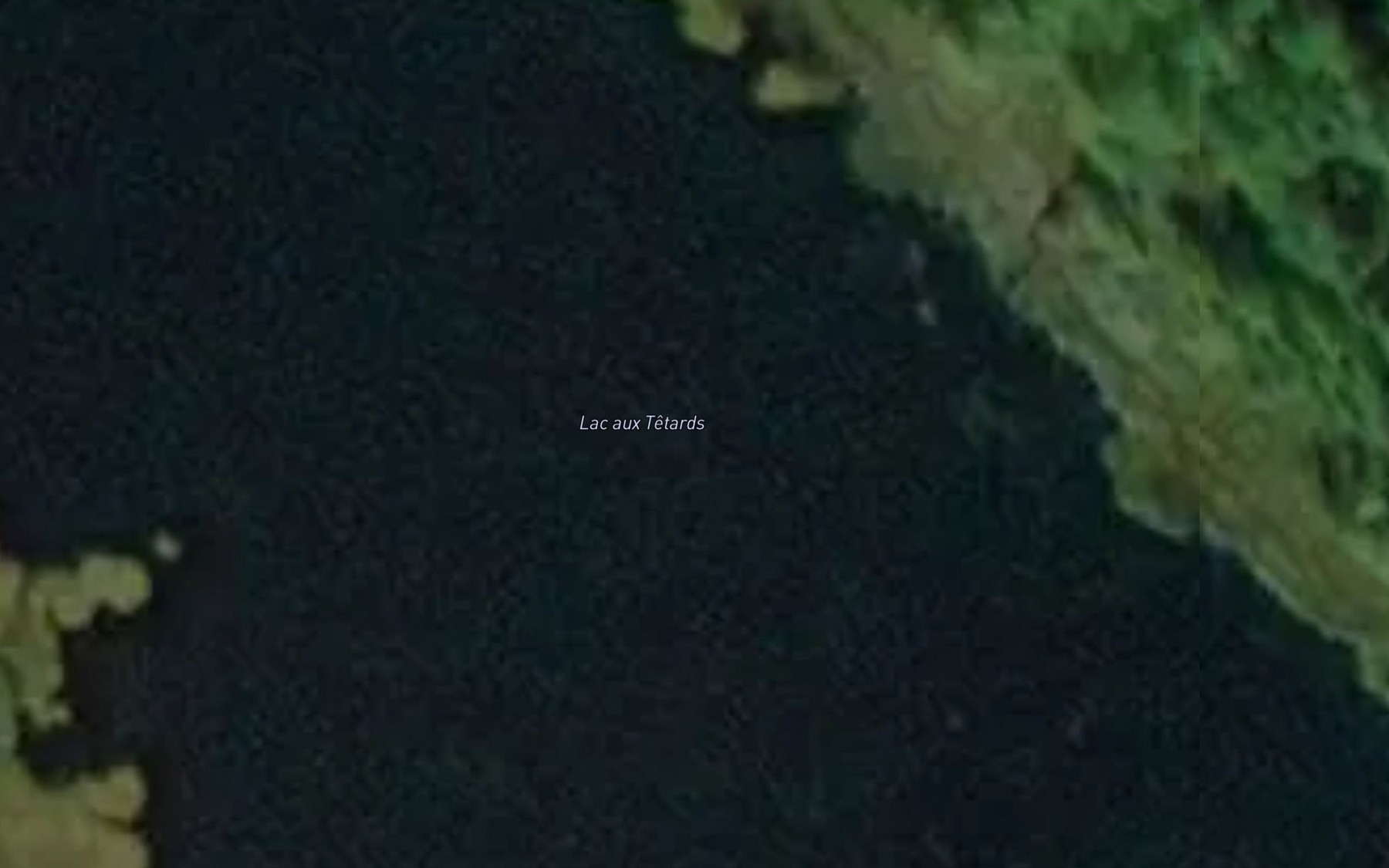 Satellite map of the Lac aux Tetards