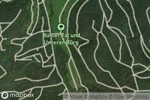 Buhlertalbach