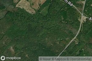 Alligator Creek