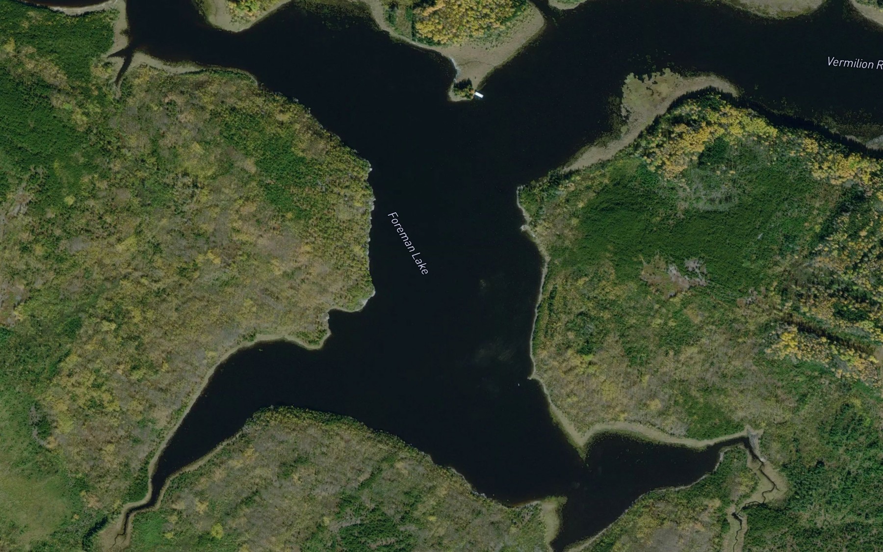 Satellite map of the Foreman Lake