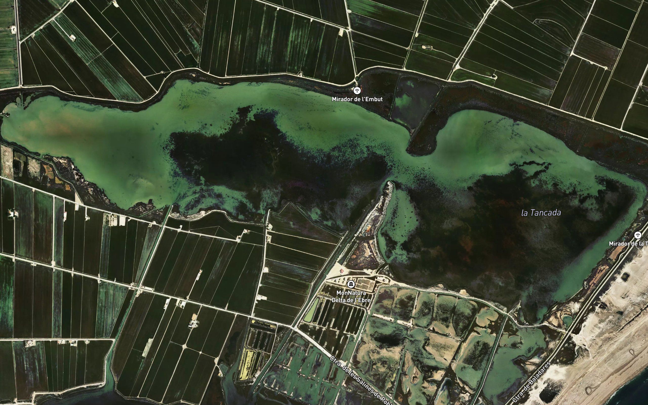 Laguna de la Tancada