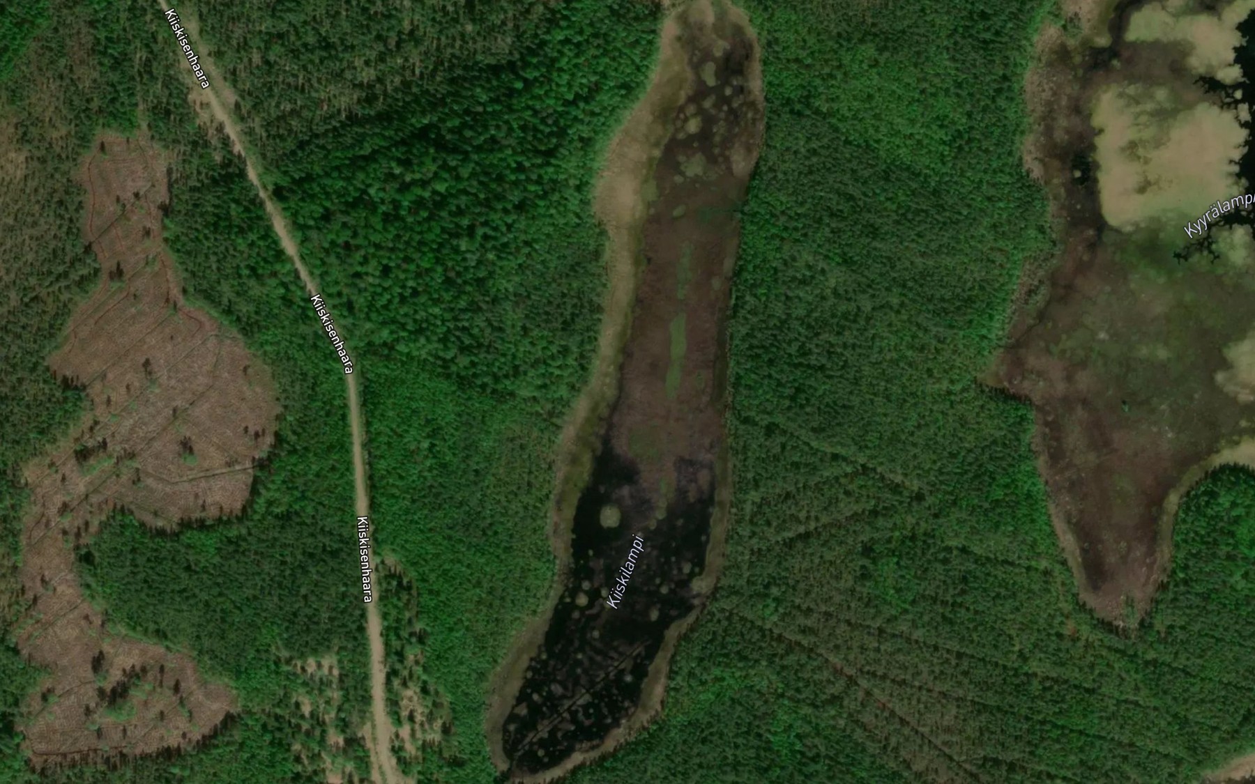 Satellite map of the Kiiskilampi