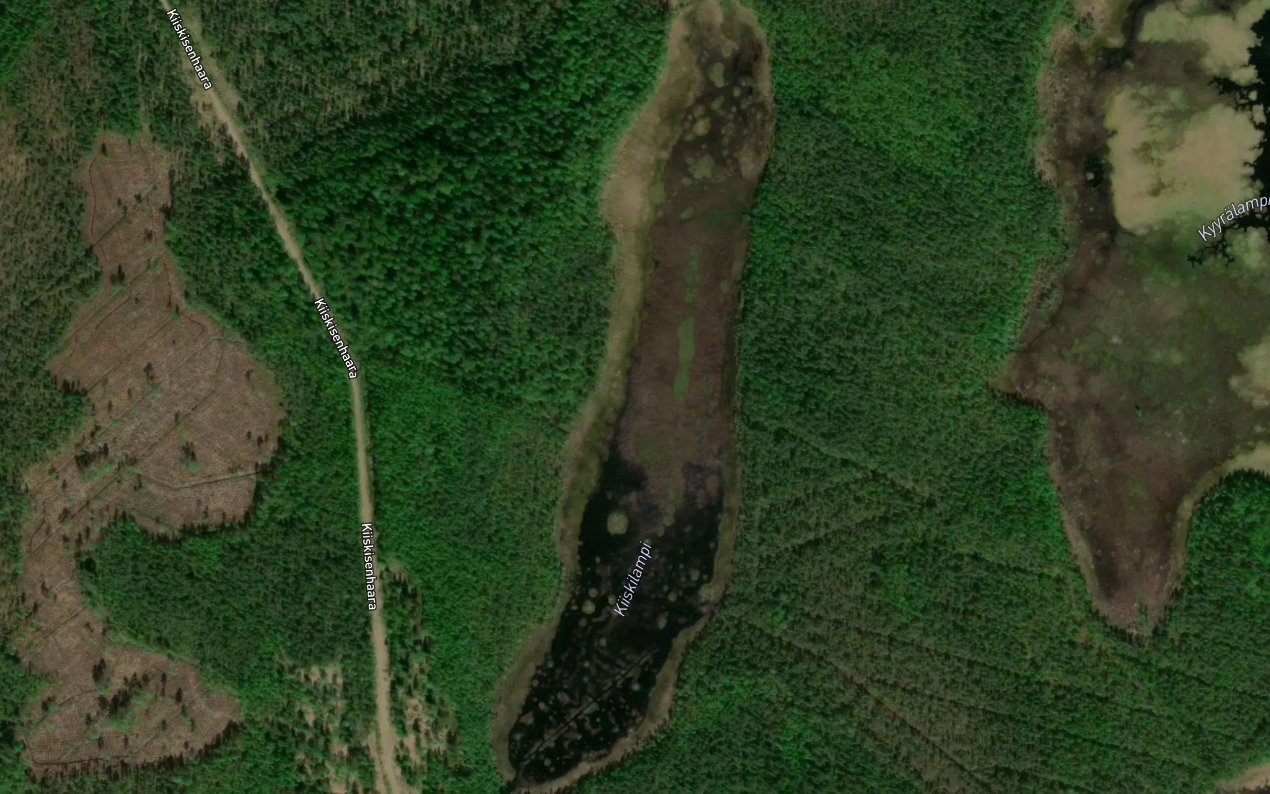 Kiiskilampi