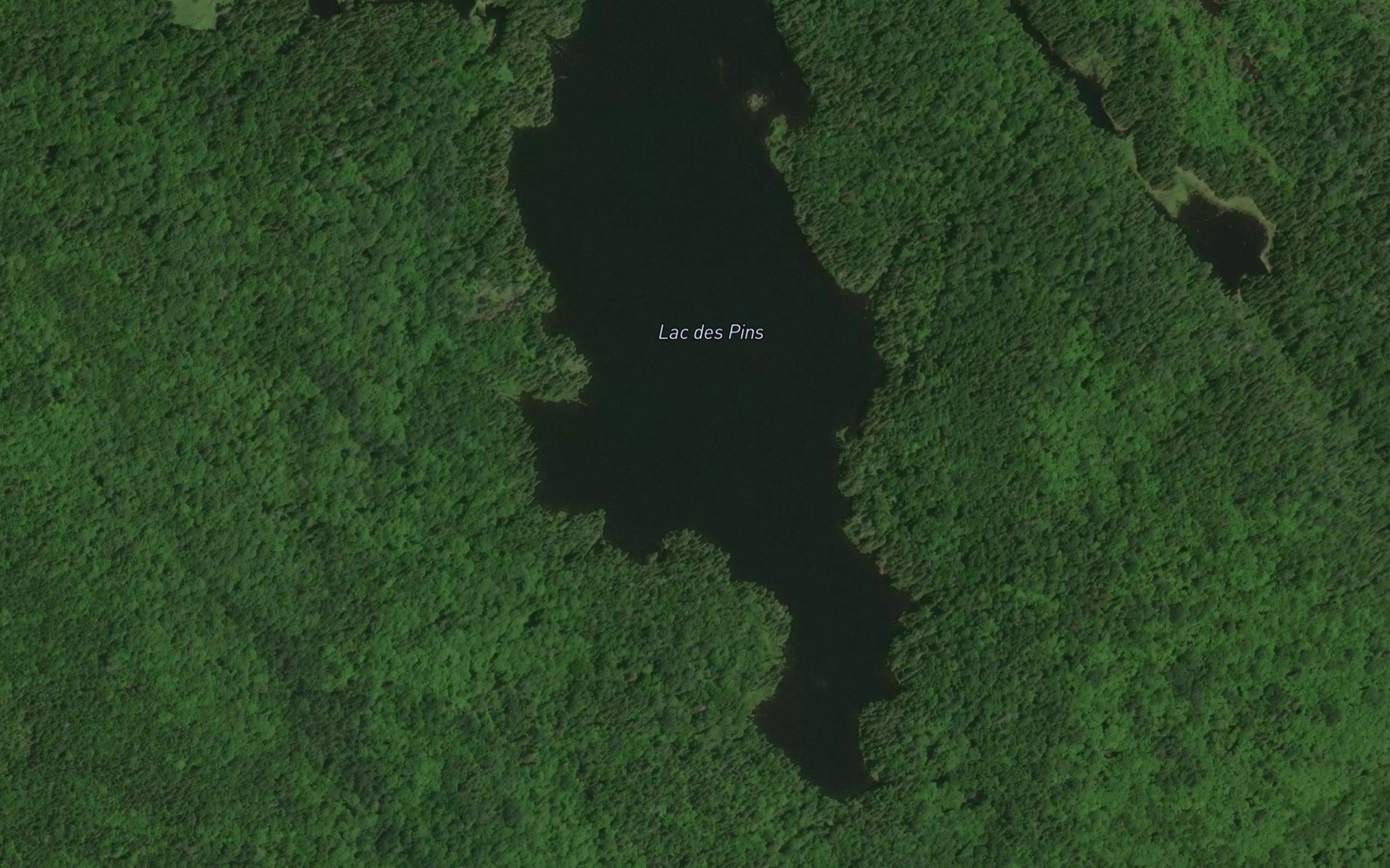Satellite map of the Lac des Pins