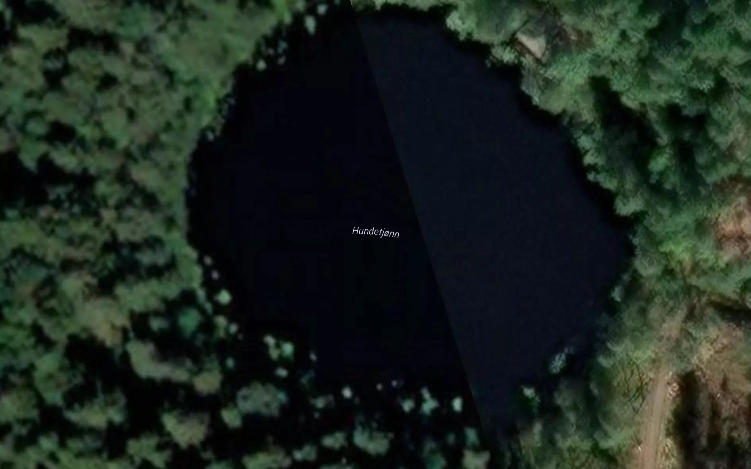 Hundetjonn