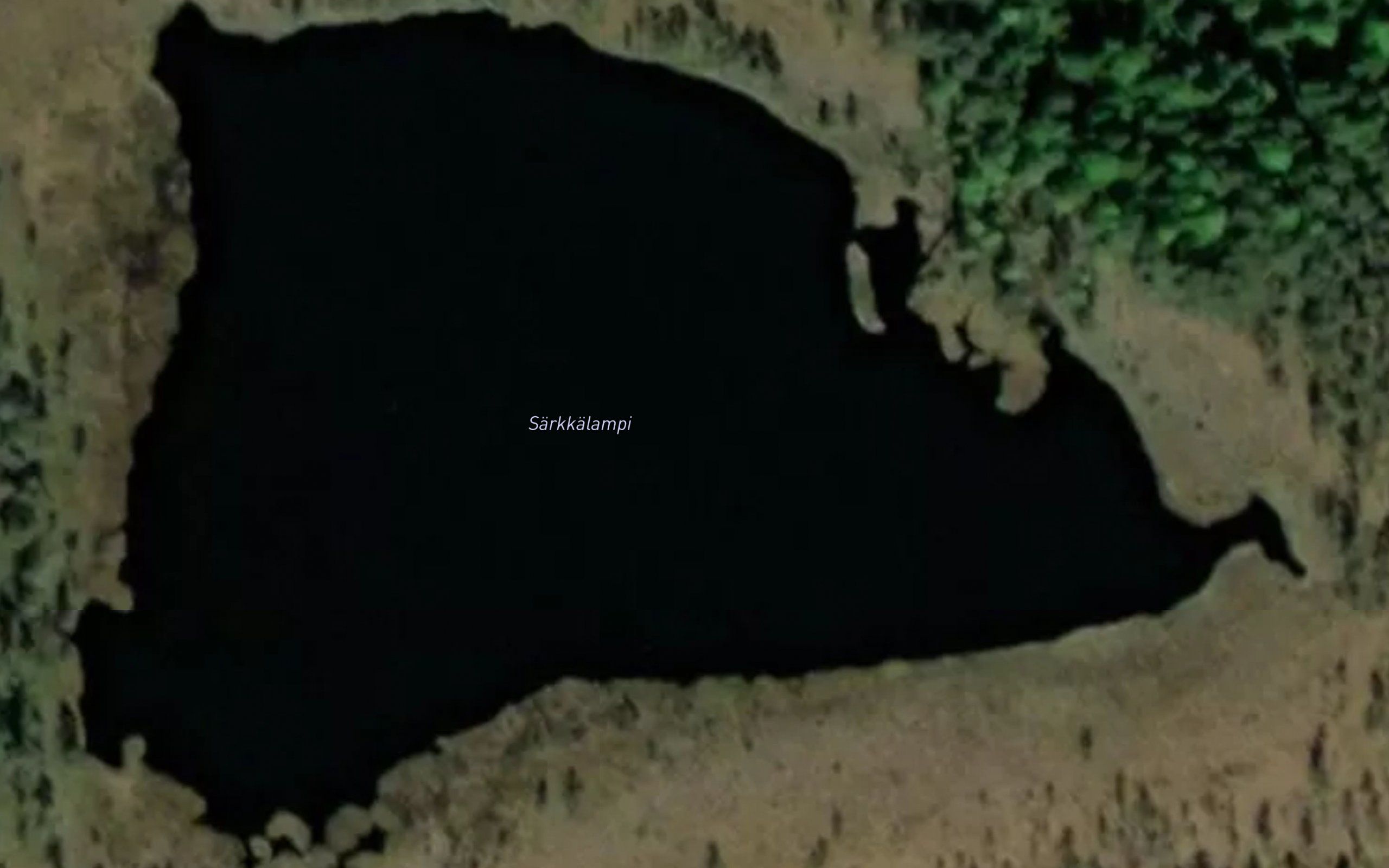 Sarkkalampi