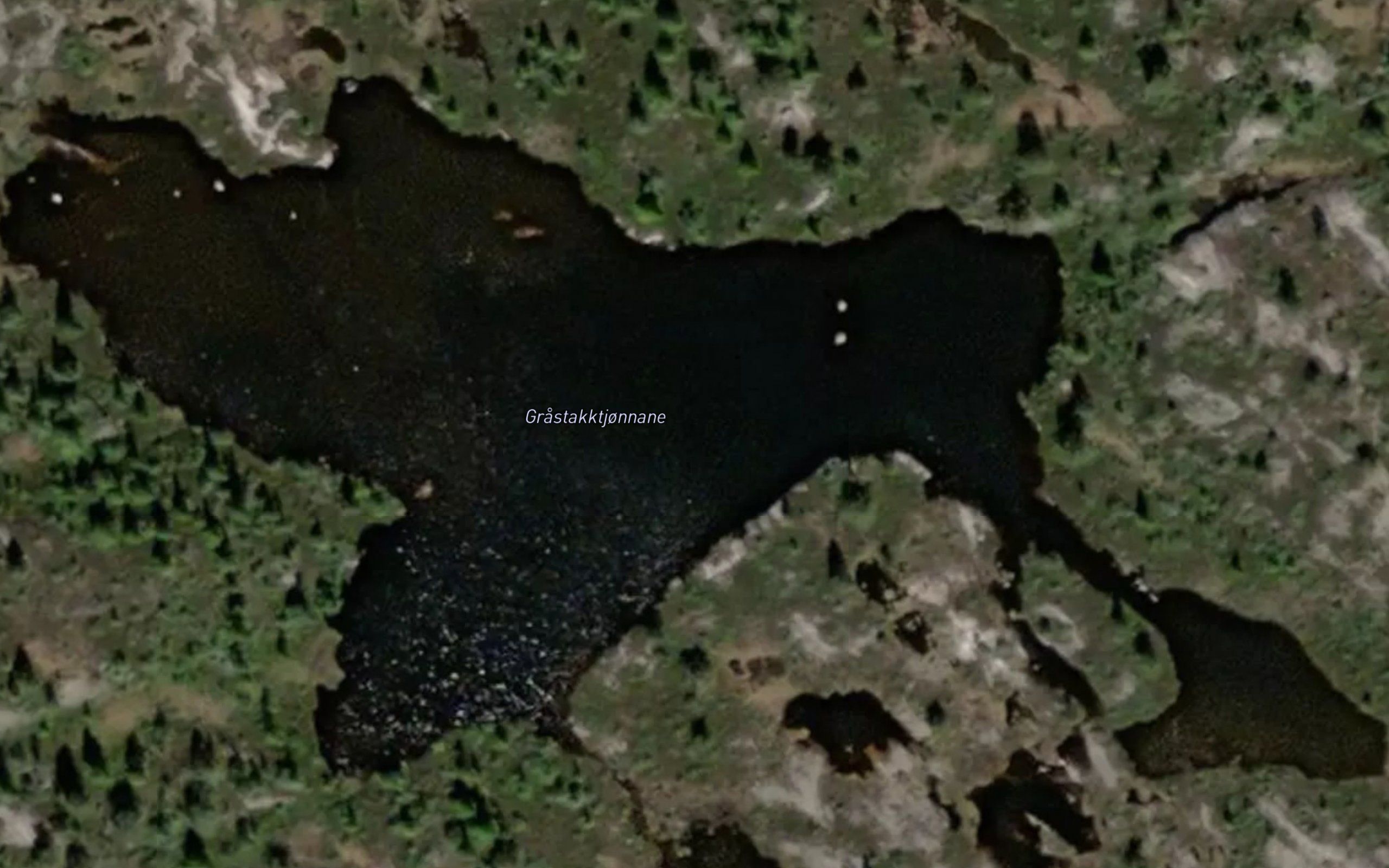 Grastakktjornane
